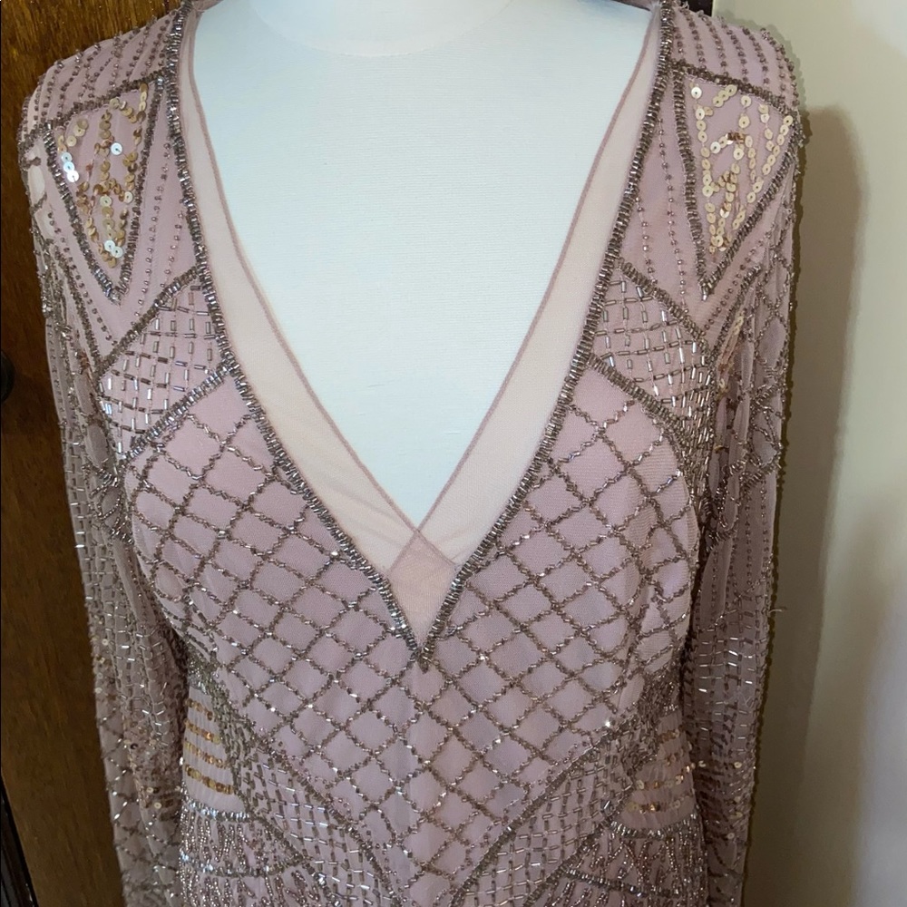 Gorgeous Blush Adrianna Papell Evening Dress